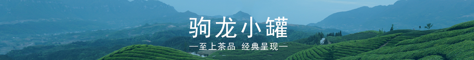 駒龍小罐茶